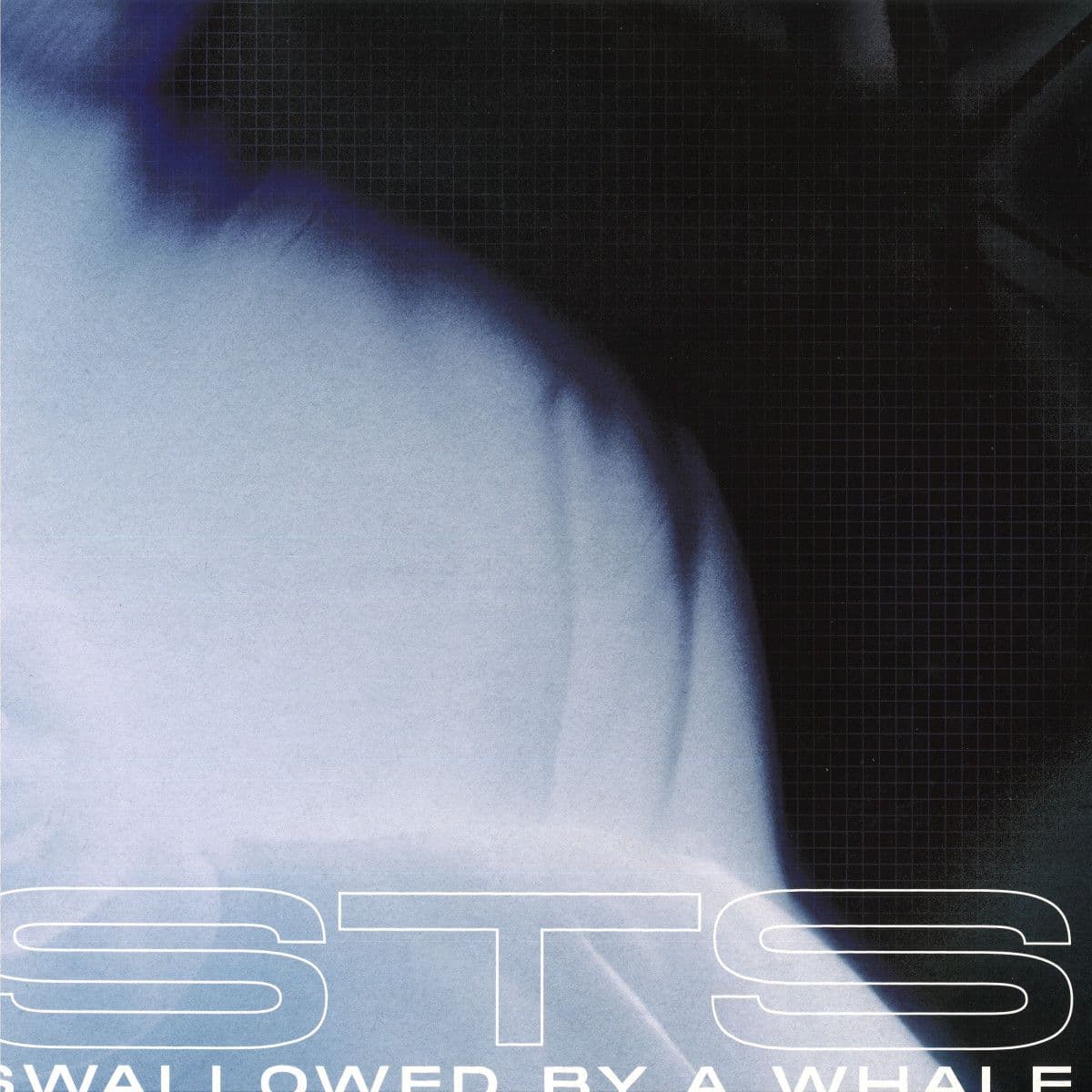 Swallowed By A Whale