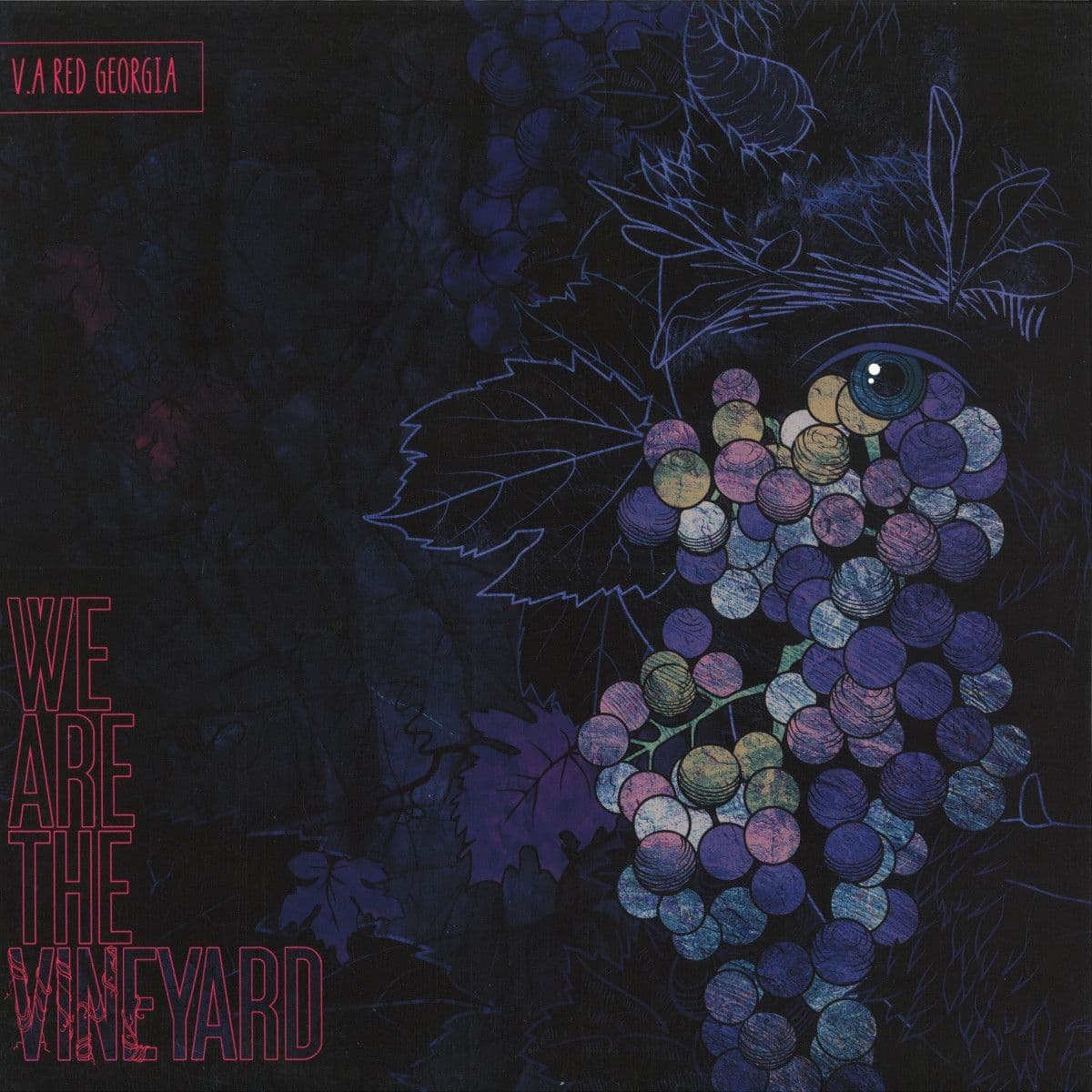 We Are The Vineyard