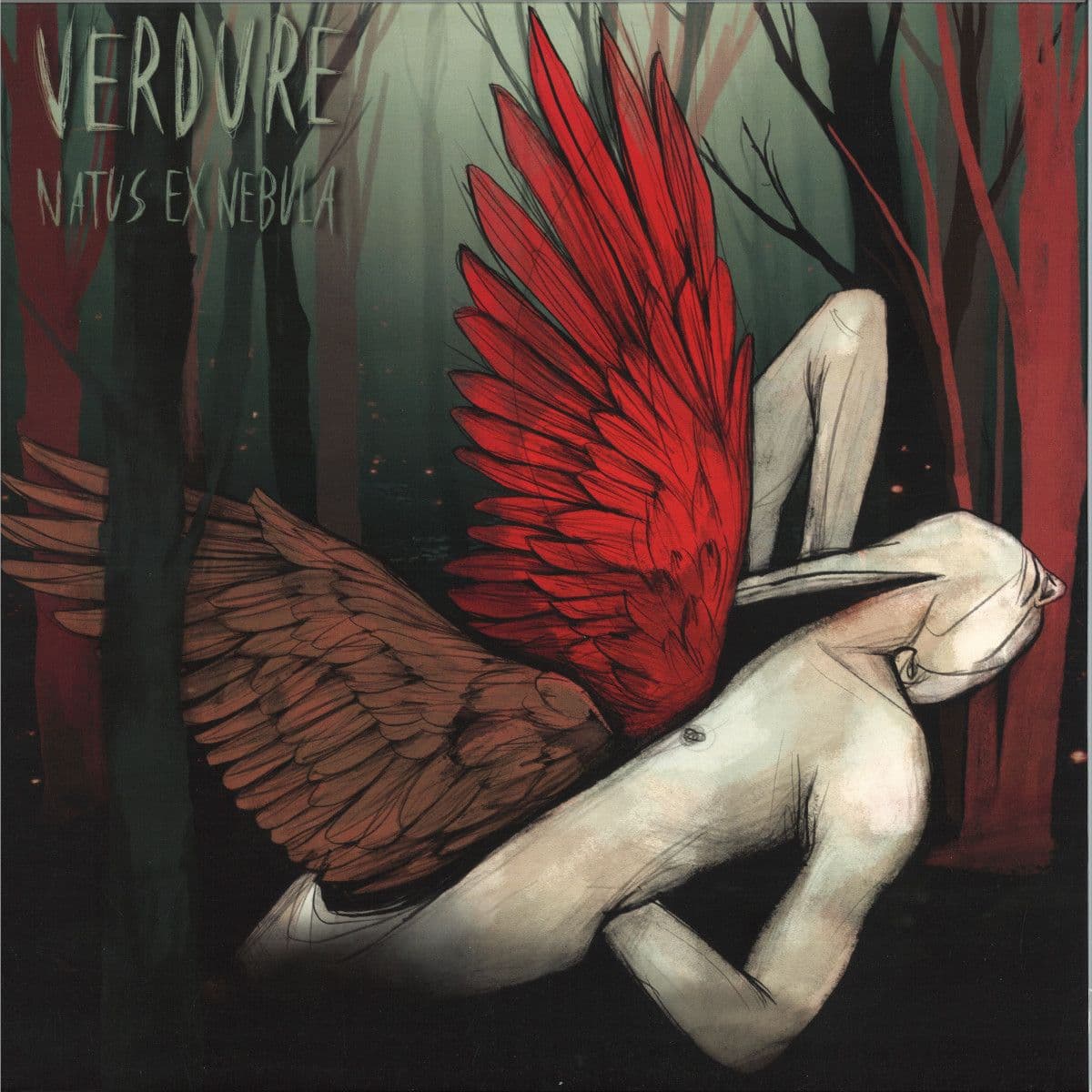 Natus Ex Nebula