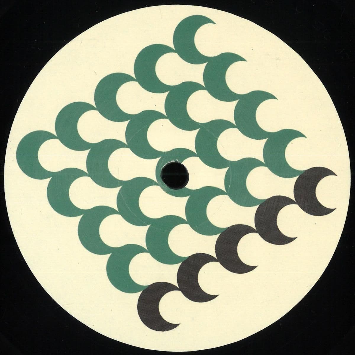 THE BRIGHT SIDE OF THE MOOG