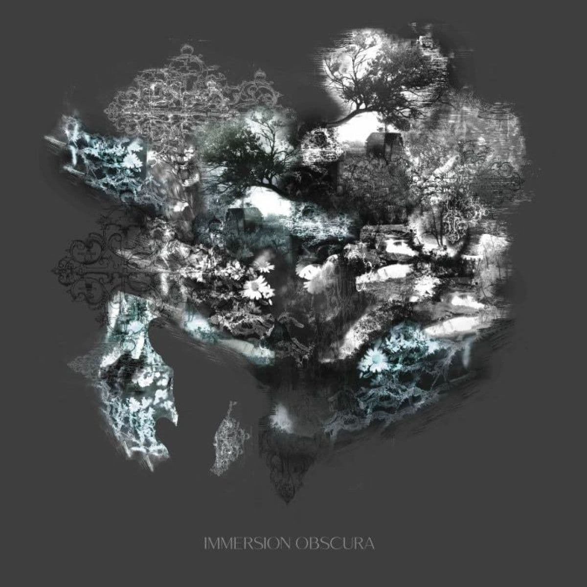 Immersion Obscura