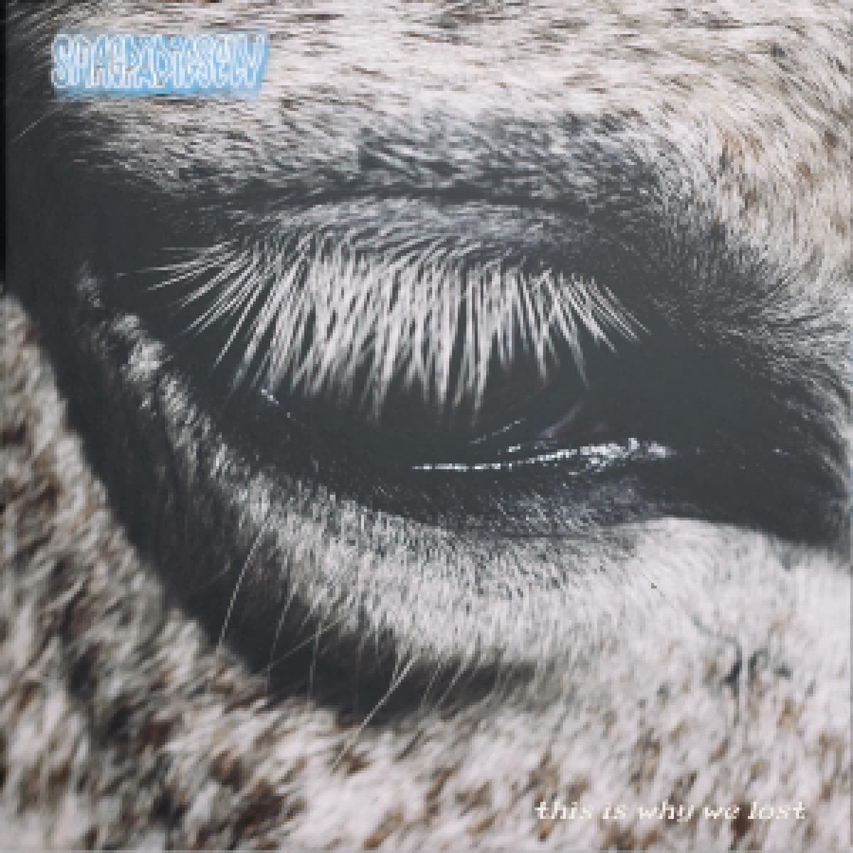 This Is Why We Lost LP