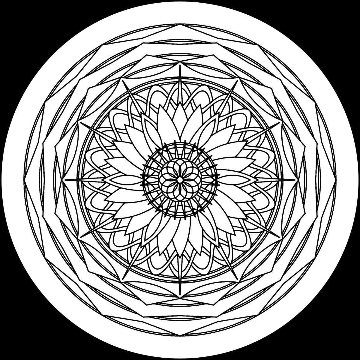 That's What I Call Flatcore - Episode 3