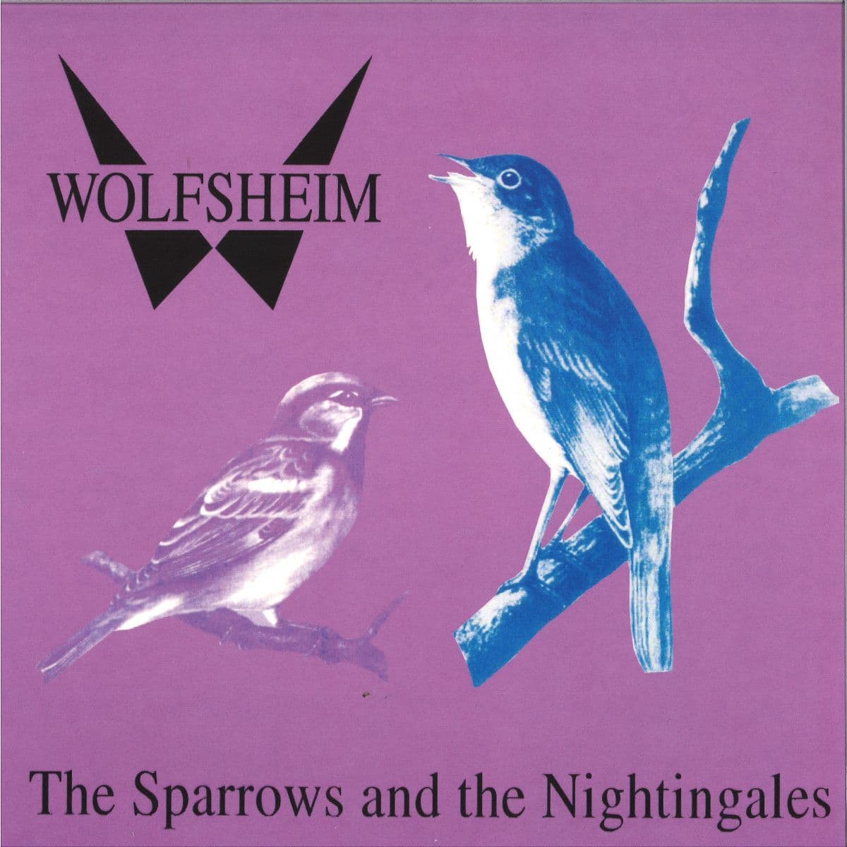 SPARROWS & NIGHTTINGALES