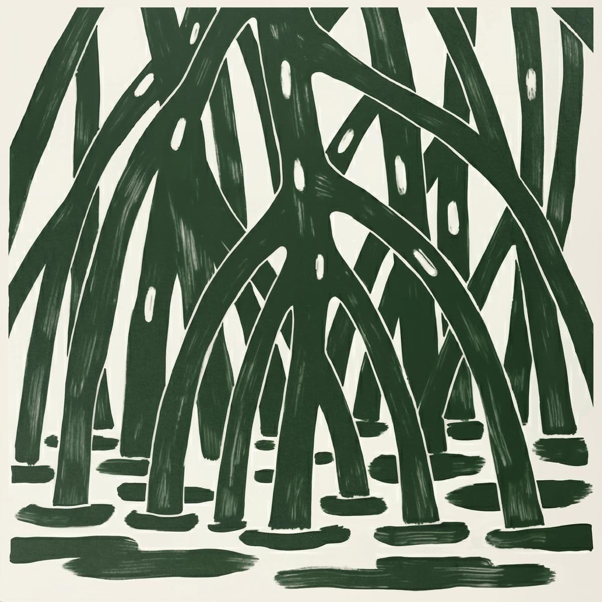 Mangrovia / Underwater