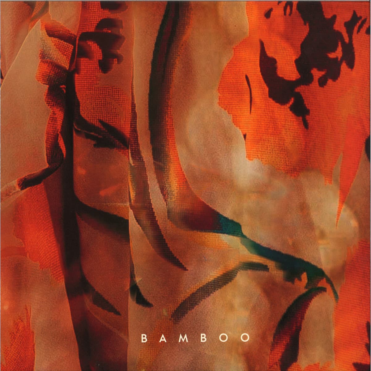 Bamboo