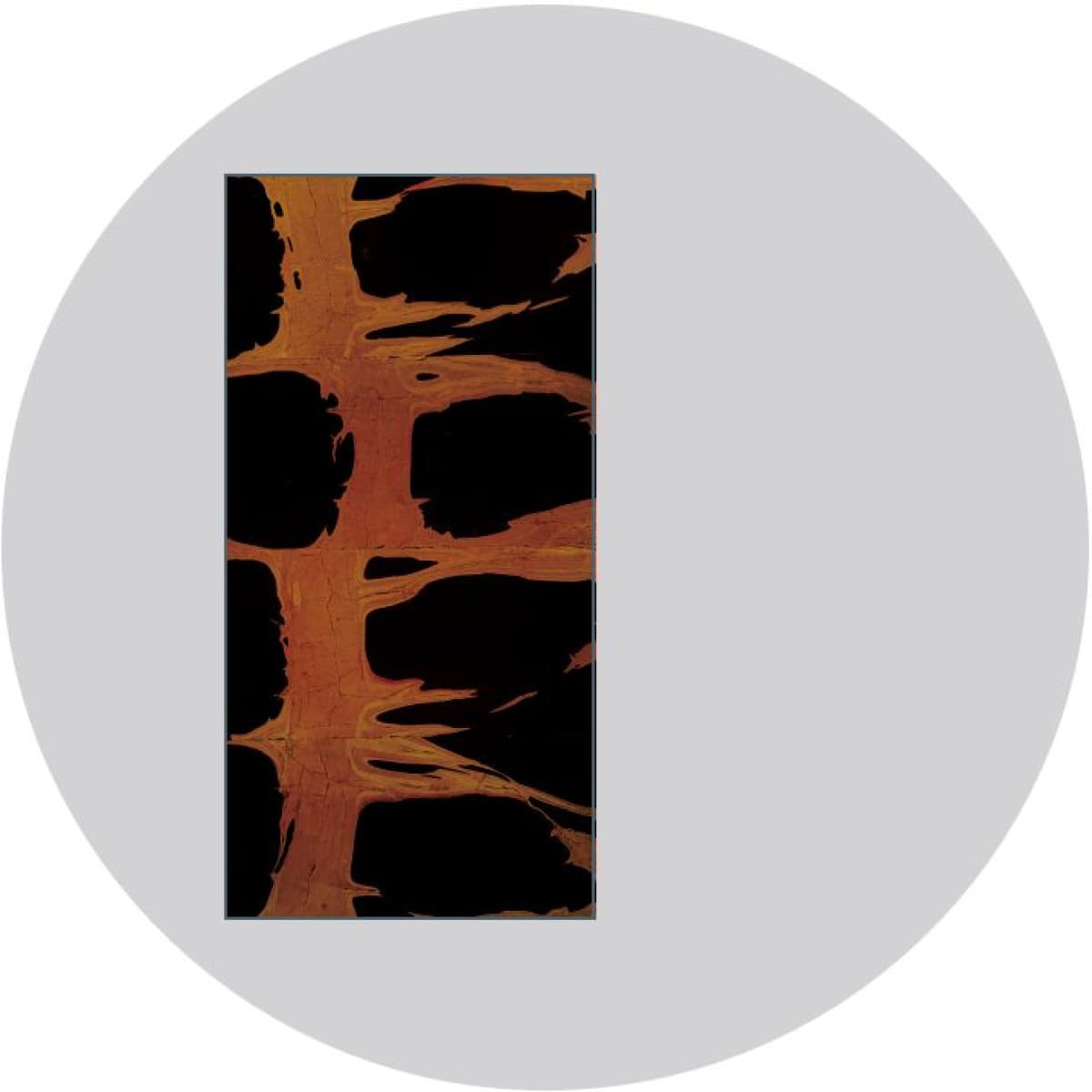 The Setting Of The Sunrise EP