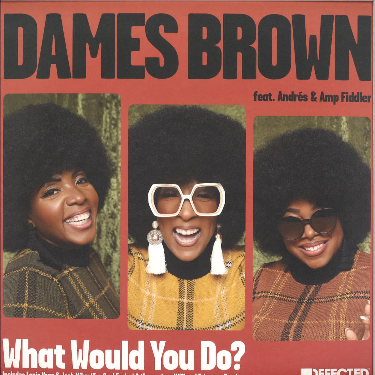 What Would You Do? (Remixes)