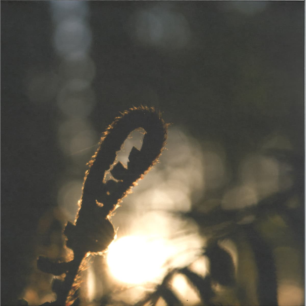 Truth Be Told LP 2x12"