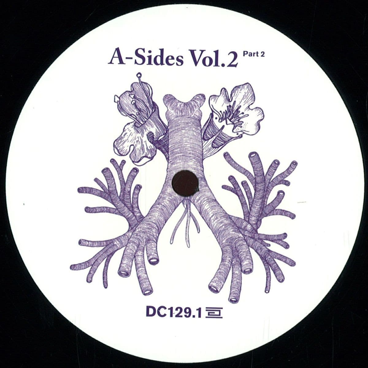 *1* A Sides Volume Ii Pt 2