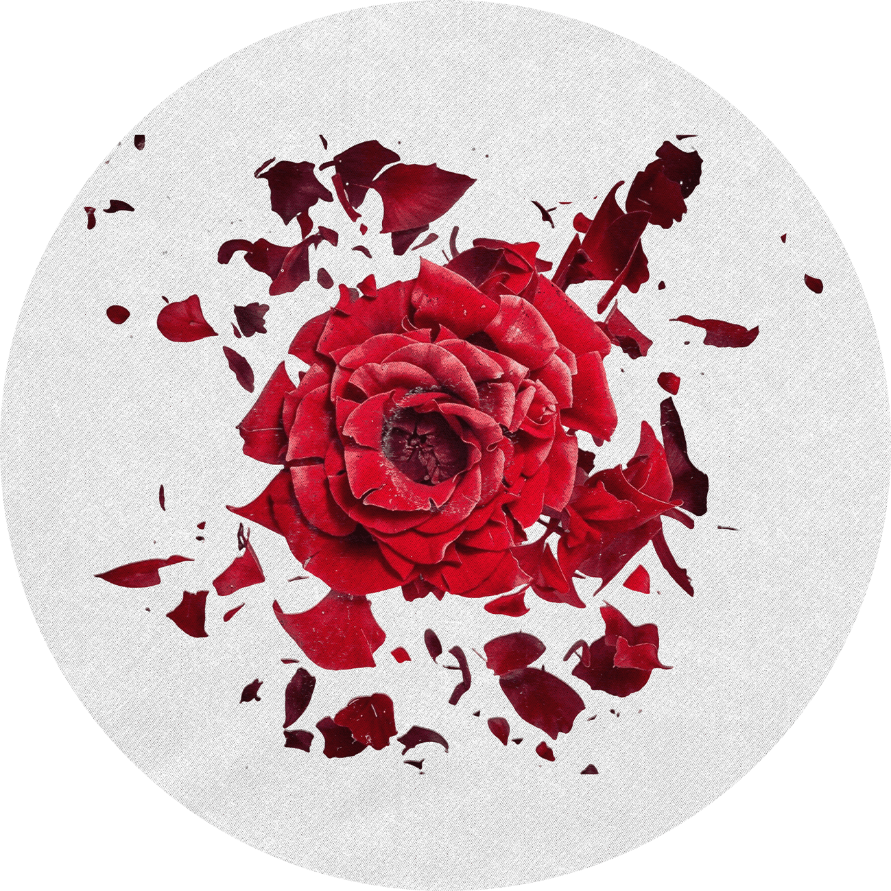 June Jazzin pres. - Broken Flower - Vinyl Sampler thumbnail 2