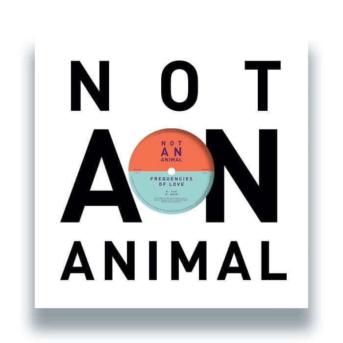 Frequencies Of Love EP thumbnail 4