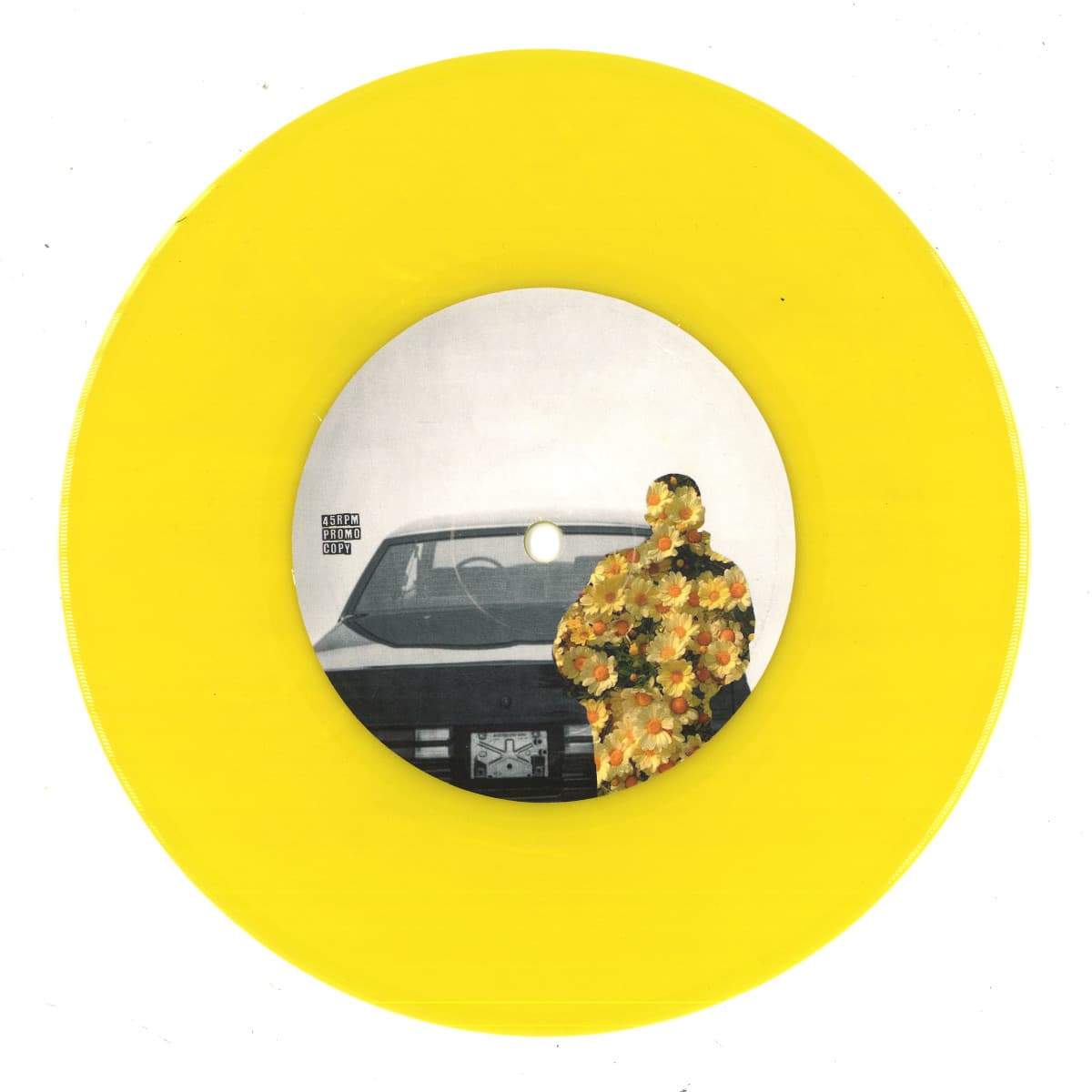 Squabble Funk/Dogfish