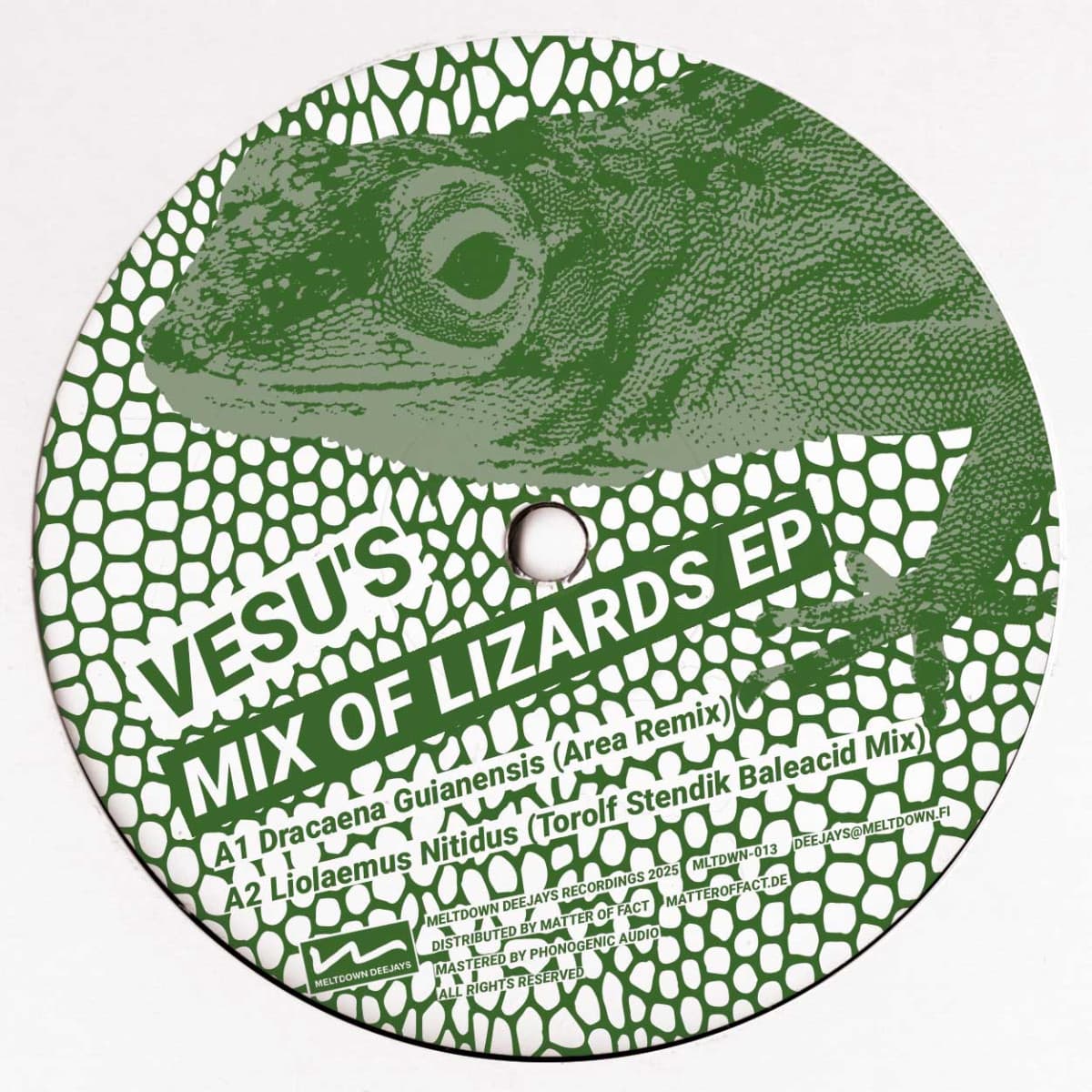 Mix Of Lizards EP