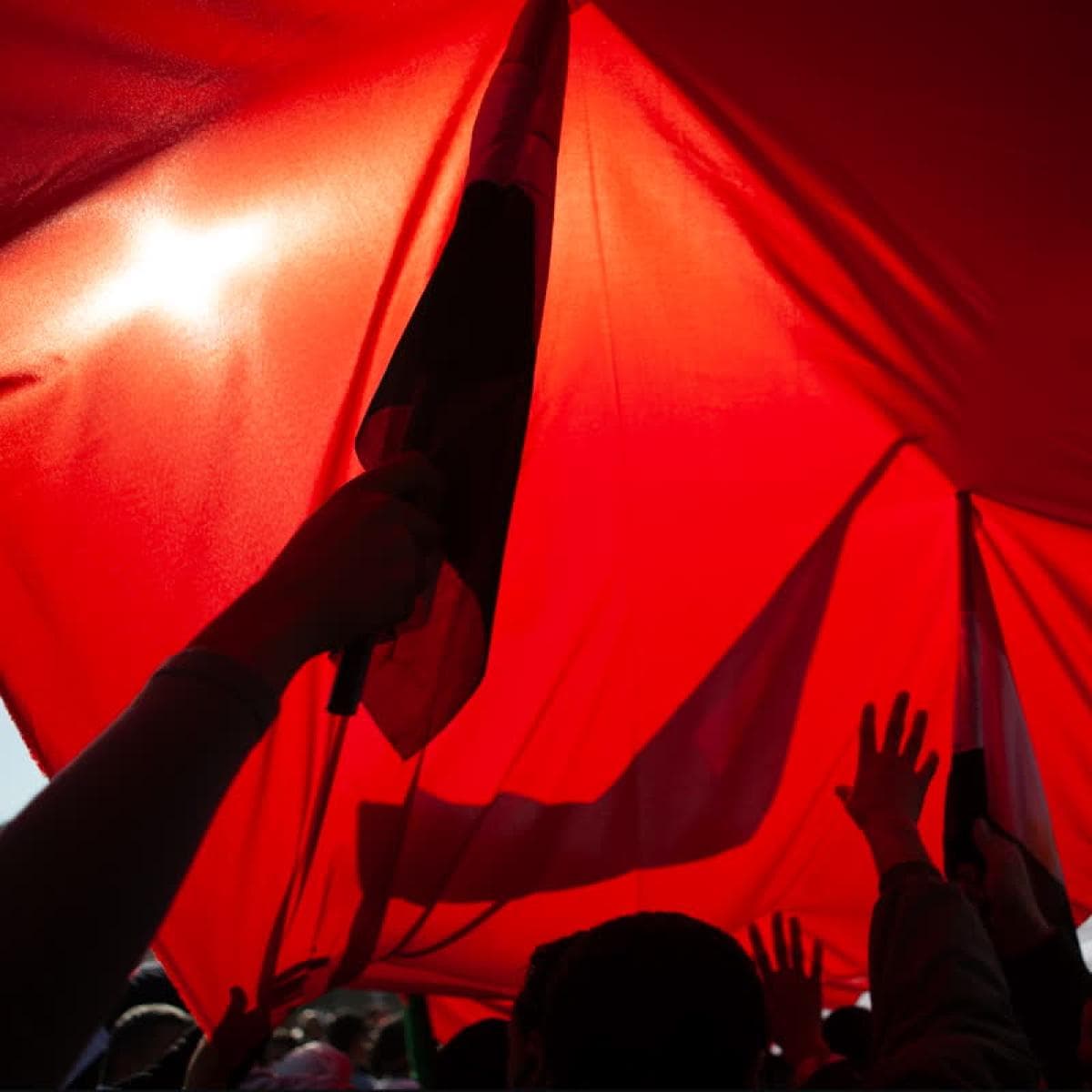 Raise A Symphony LP 2x12"