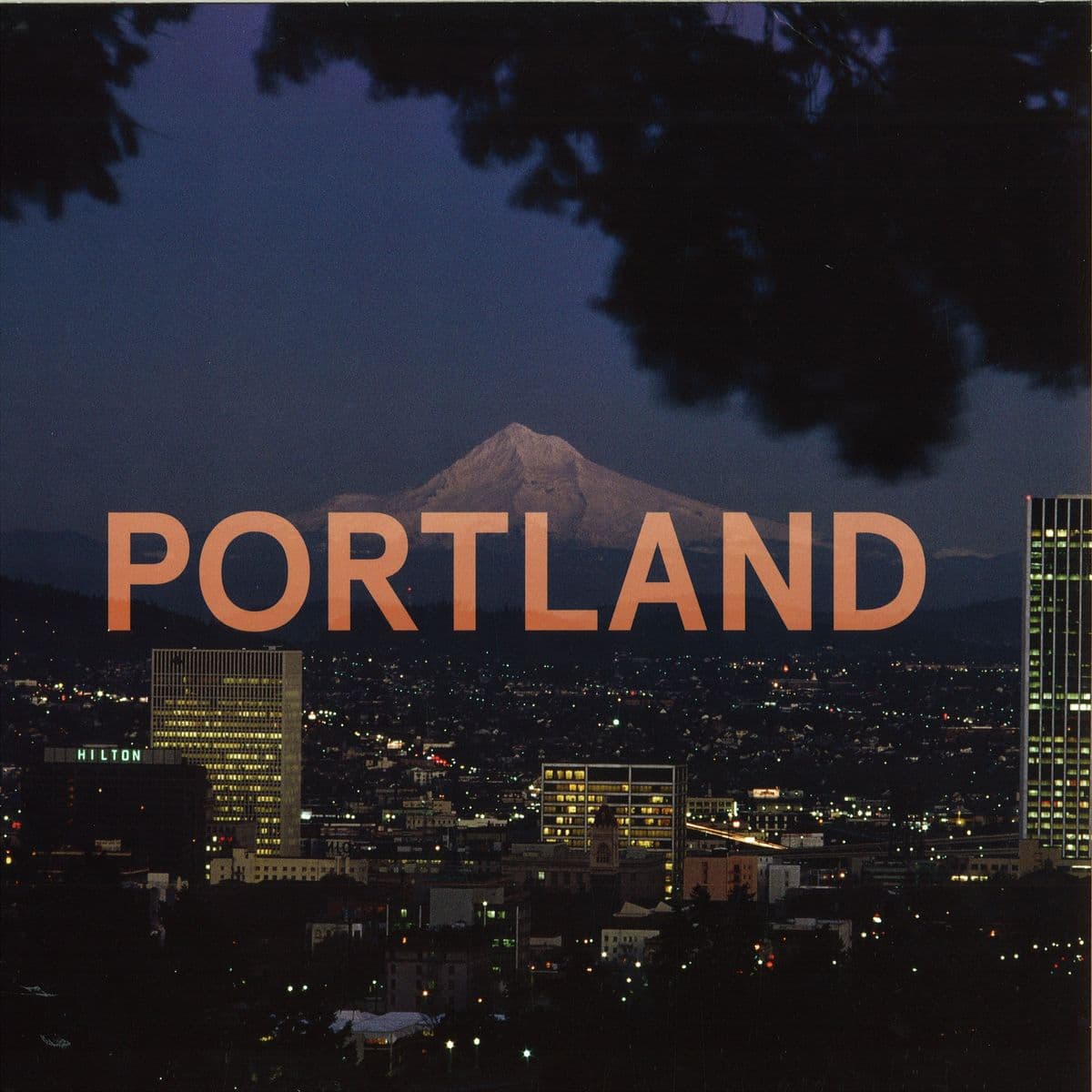 Portland 2x12 (ricardo Villalobos Remixe)