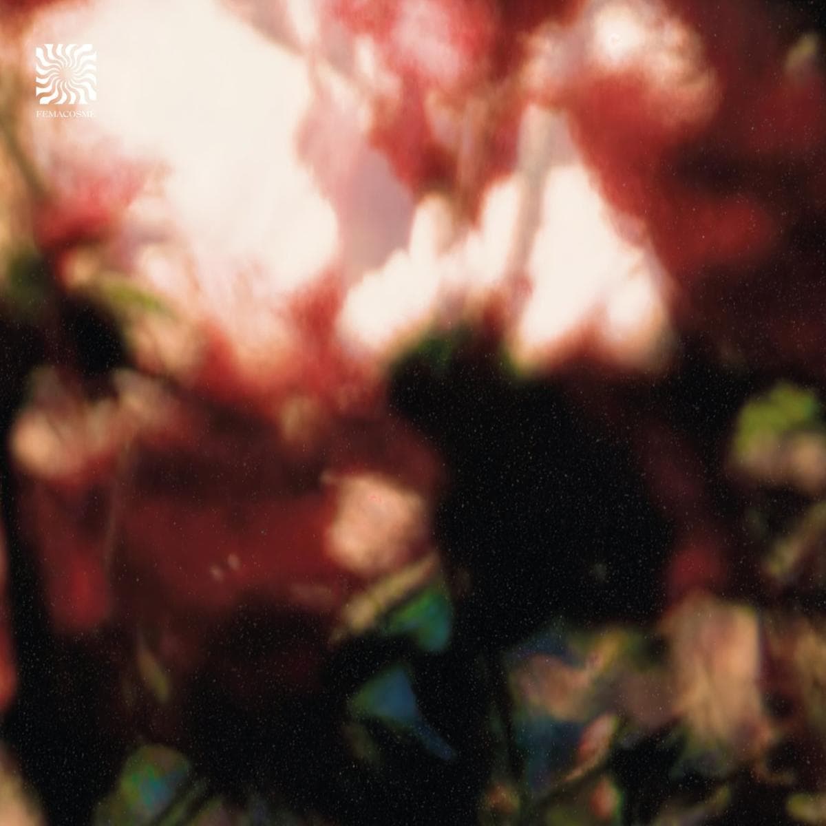 Peace is it in You ?